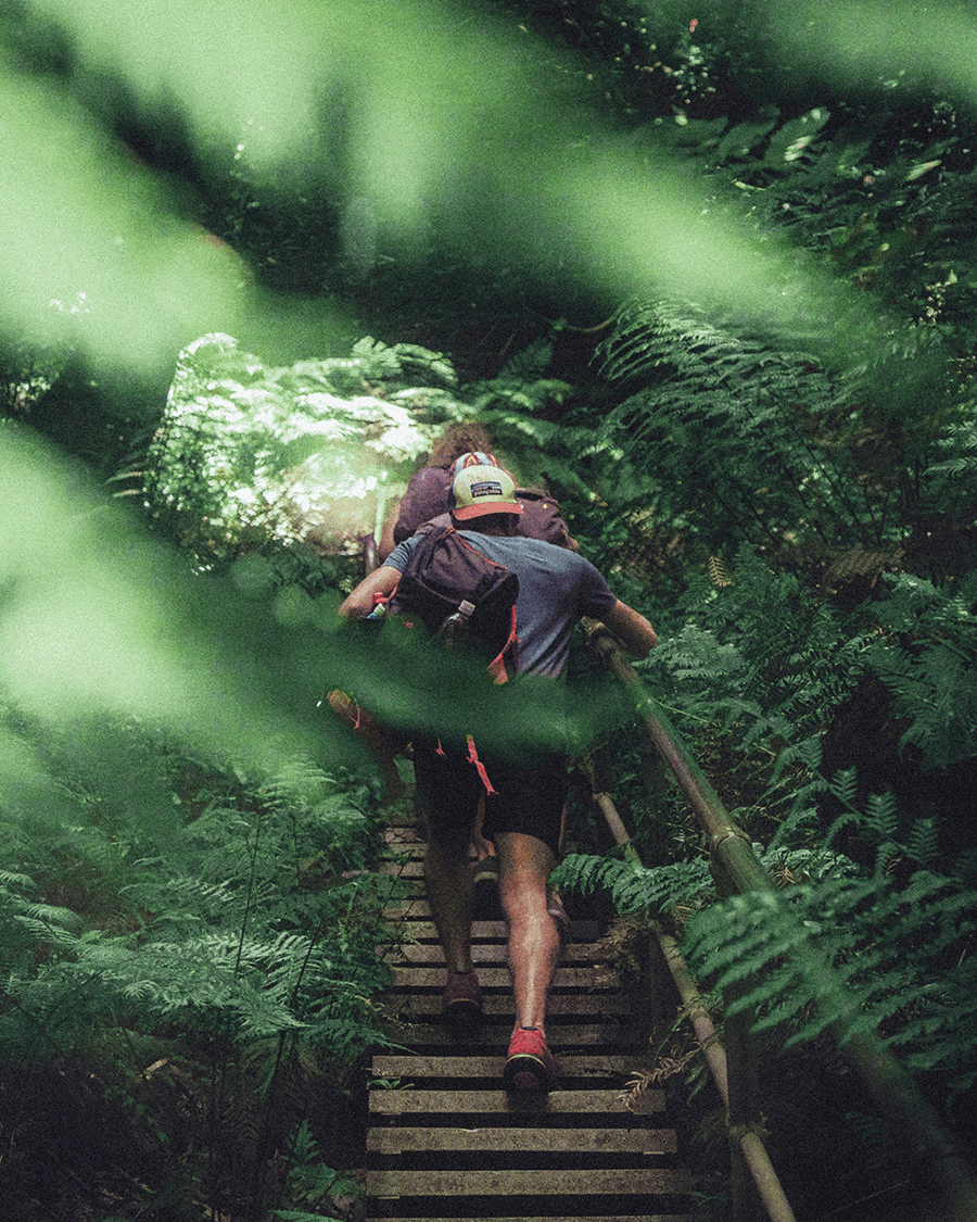 Millennial hikers in thick green forrested area